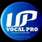 Vocal Vp Produtora