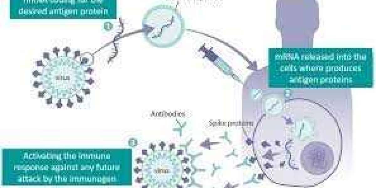 mRNA Vaccines Market Industry Size and Forecast 2033