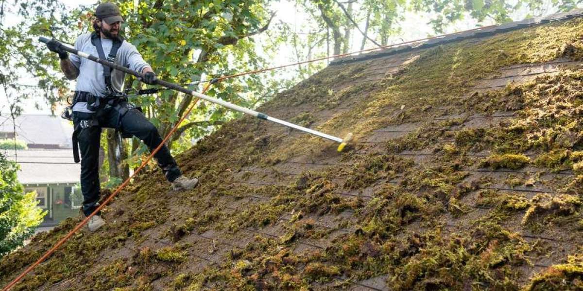 No More Moss Mess: Portland's Quick Fixes for Roof Woes!