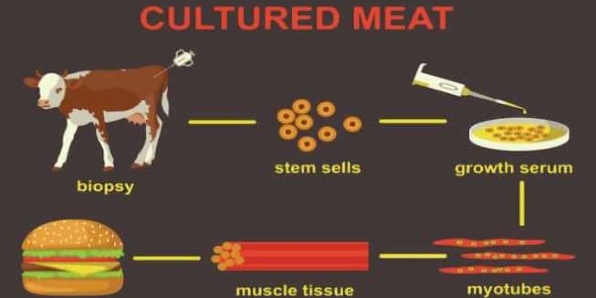 Cultured Meat Market Investment | Aleph Farms, Eat Just, Believer Meats, BlueNalu