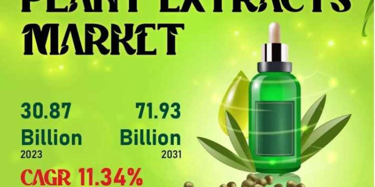 Plant Extracts Market Size Investment | ADM, Carbery, Esperis S.p.a. 2031 Forecast