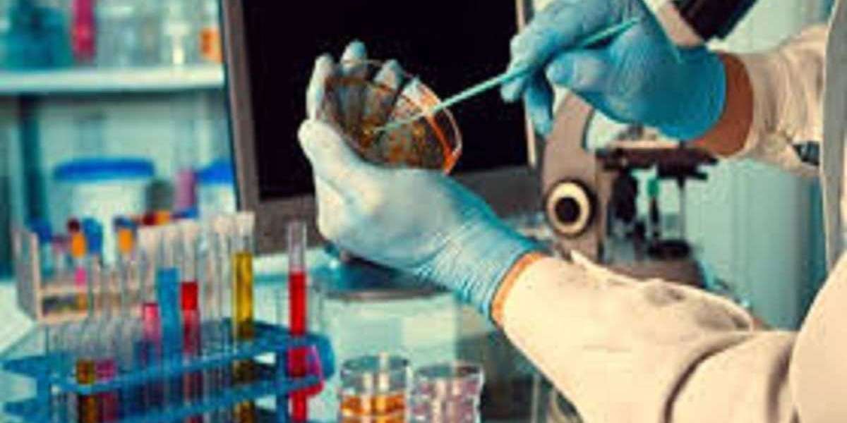 Global Growth of ADME Toxicology Testing Market by Segments, Share, and Size 2032